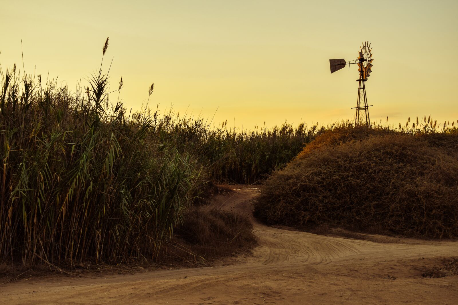 Nikon D3300 sample photo. Cyprus, kapparis, dirt road photography