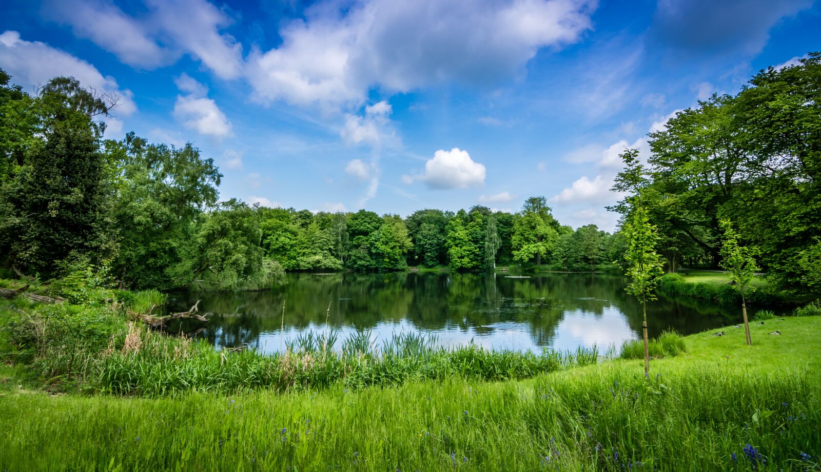 Nikon D7100 sample photo. Secluded lake, green, landscape photography