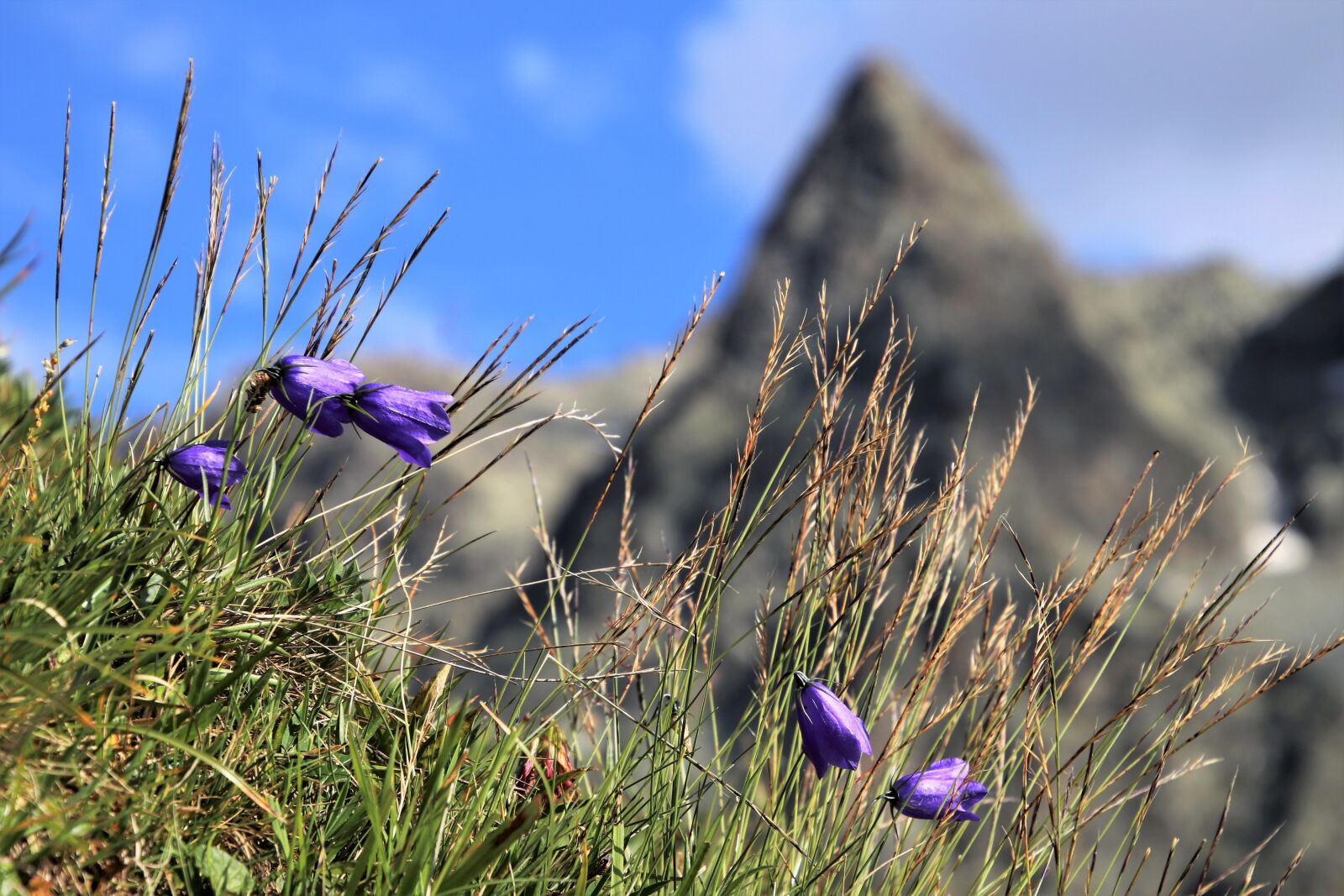 Canon EOS 80D sample photo. Mountains, the height of photography