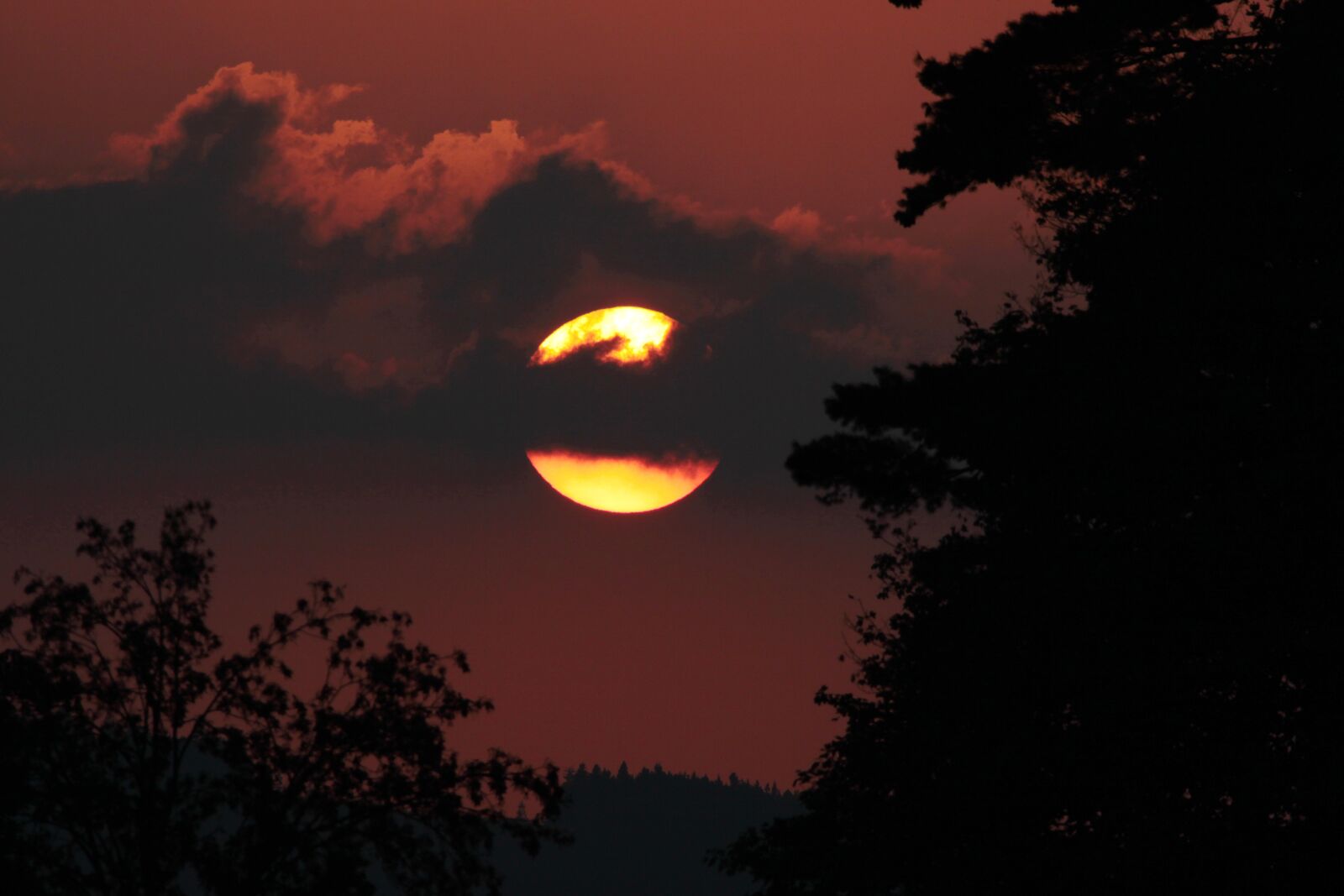 Canon EOS 50D sample photo. West, sun, sudetenland photography
