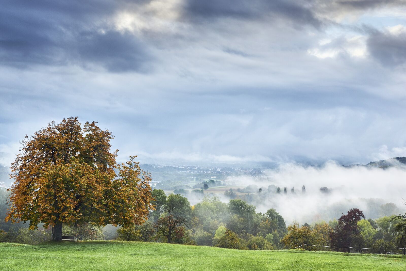 Sony SLT-A77 sample photo. Fog, neckar, early in photography