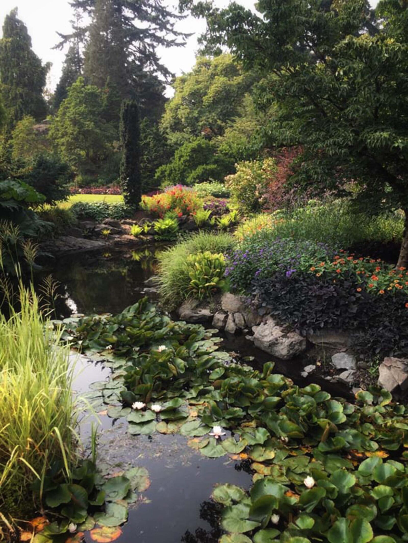 iPhone 6 back camera 4.15mm f/2.2 sample photo. Beautiful, flowers, calm, waters photography