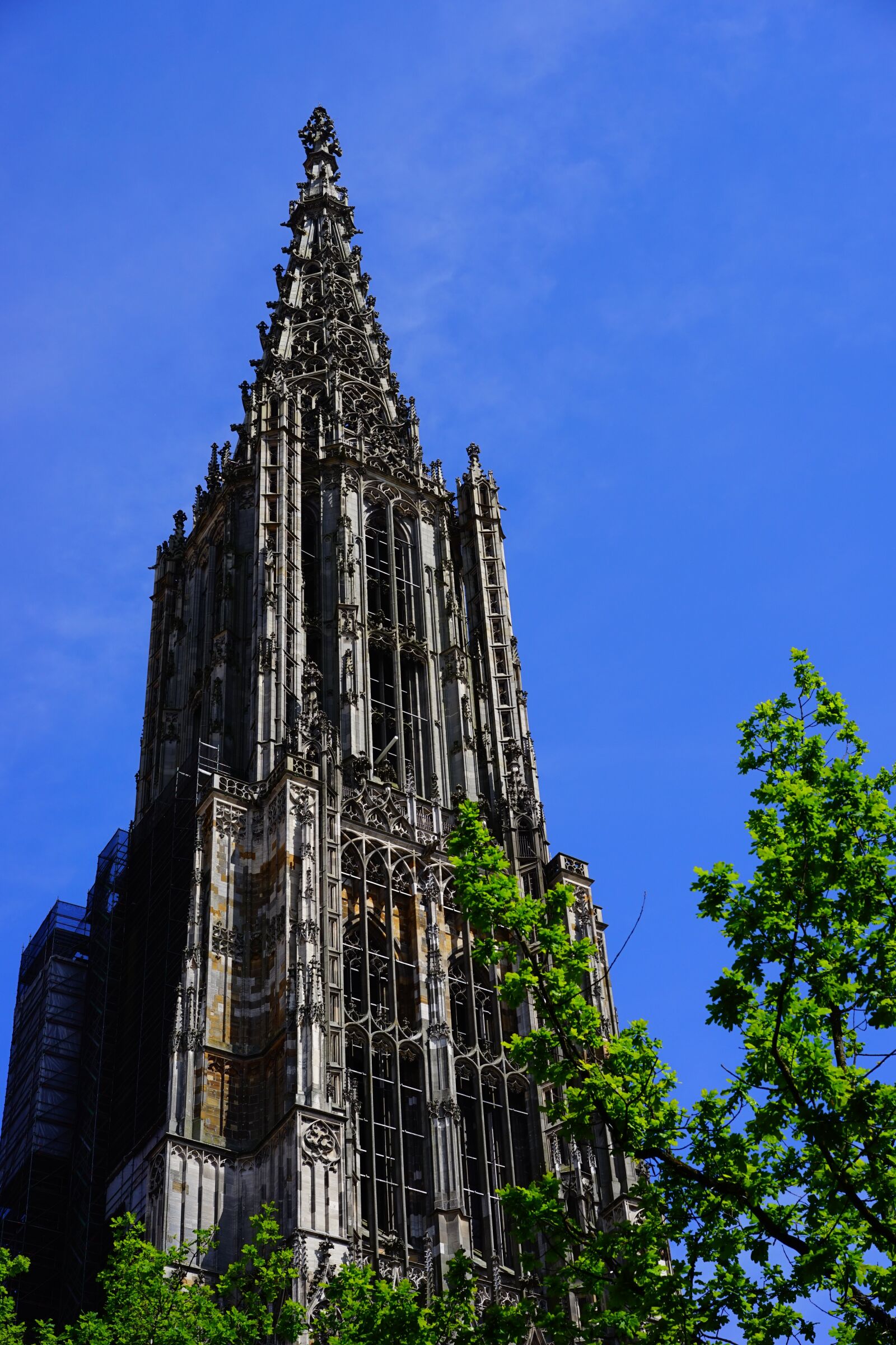 Sony a7 sample photo. Ulm cathedral, m nster photography