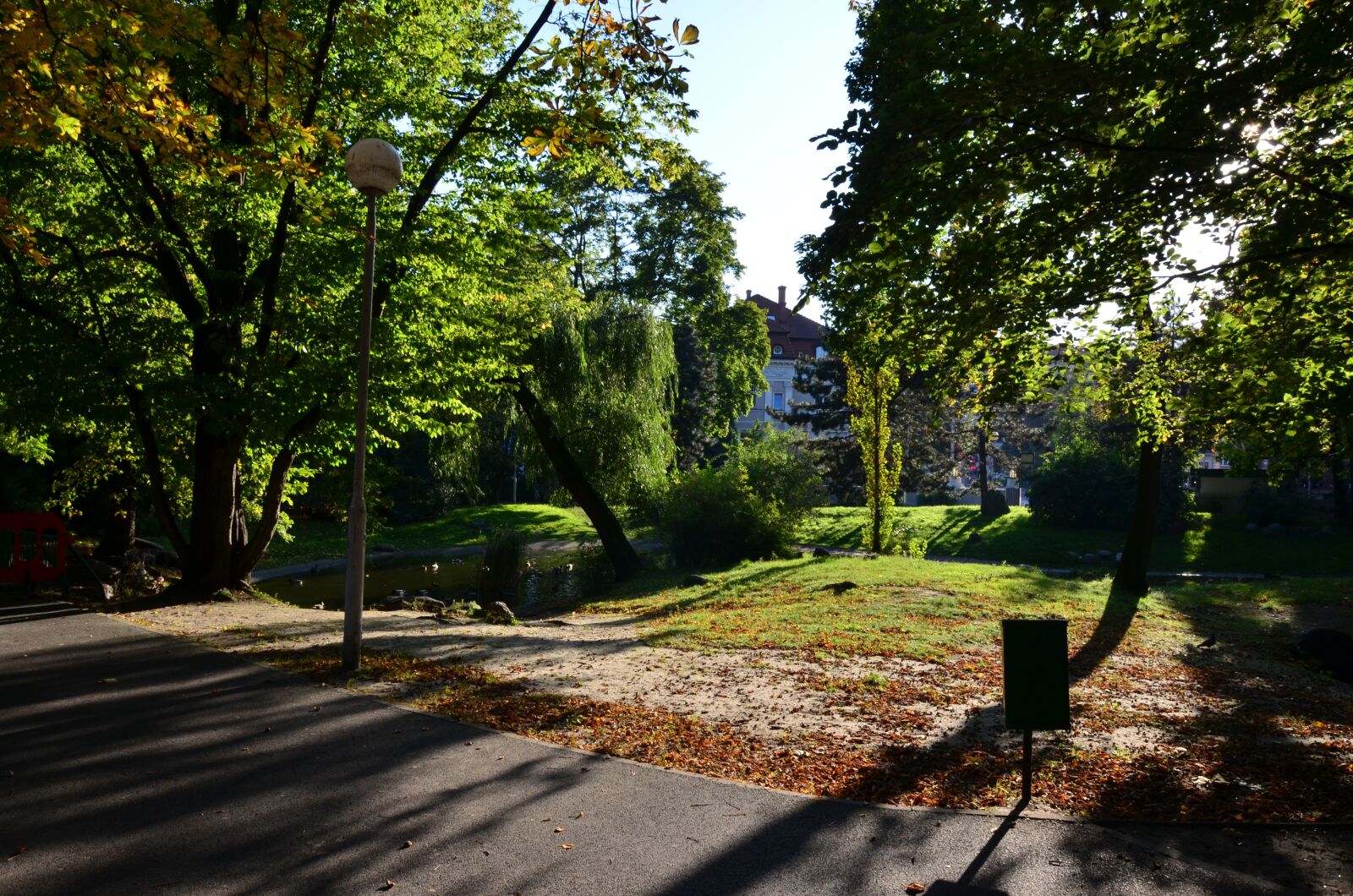 Nikon D5100 sample photo. Park, autumn, tree photography