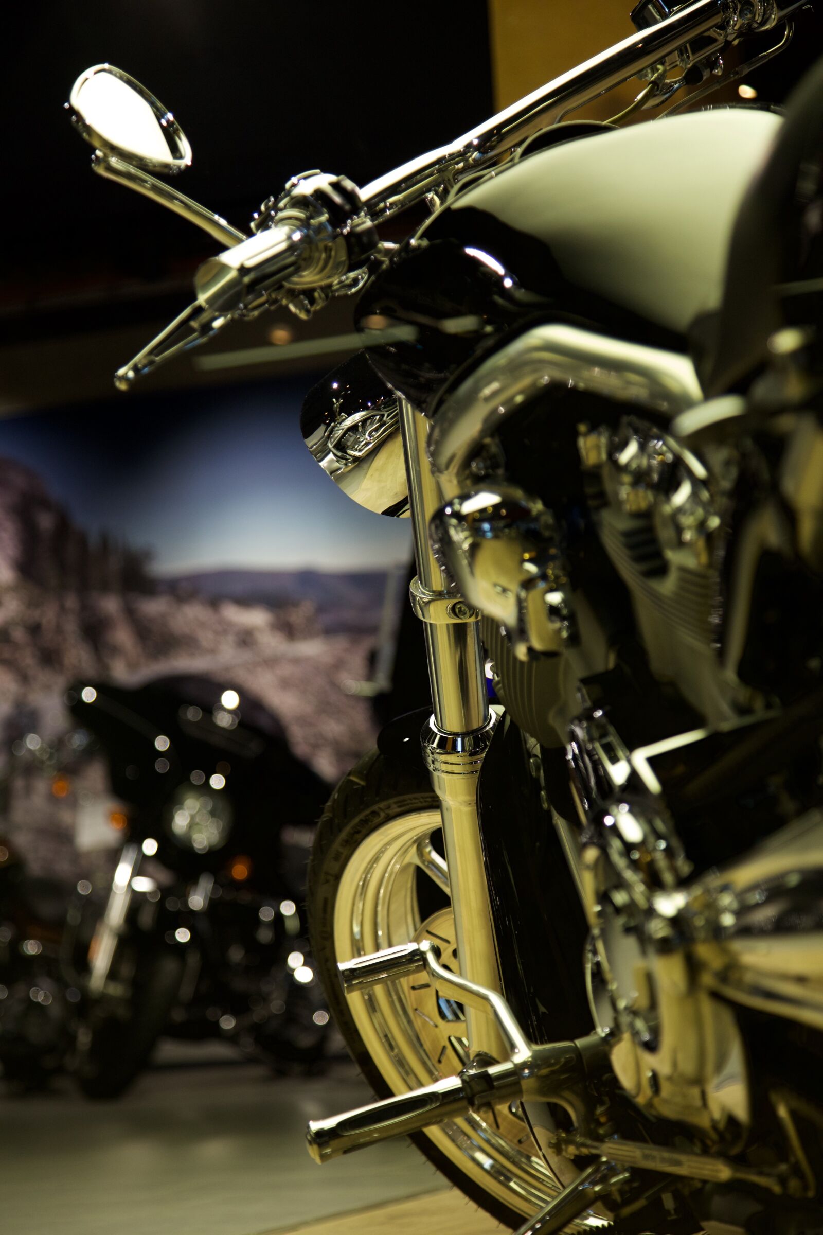 Canon EF 24-105mm F4L IS USM sample photo. Motorcycle, gloss, harley davidson photography