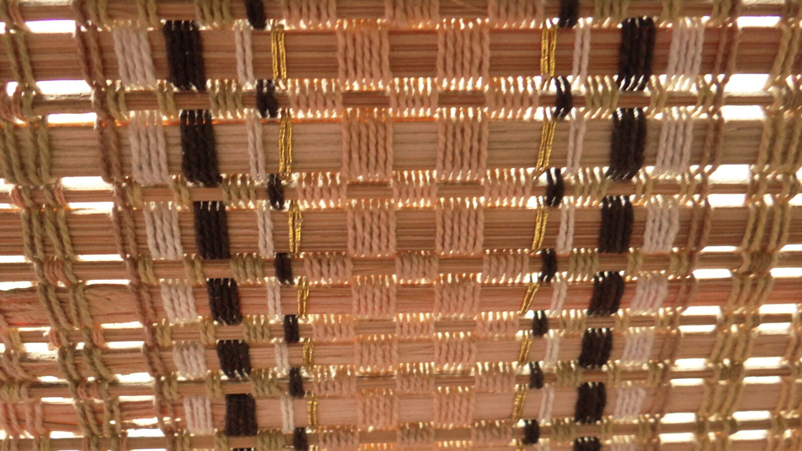 Sony DSC-HX200V sample photo. 365, photos, bamboo, bamboo photography