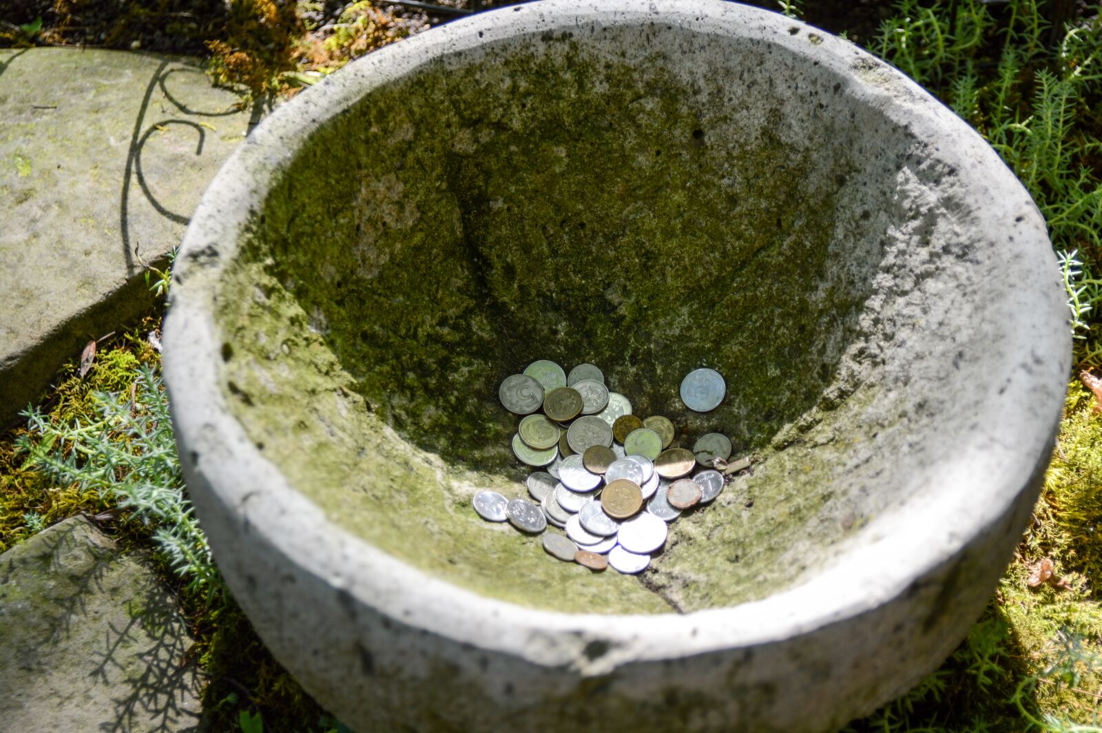 Nikon D3200 sample photo. Money, coins, wealth photography