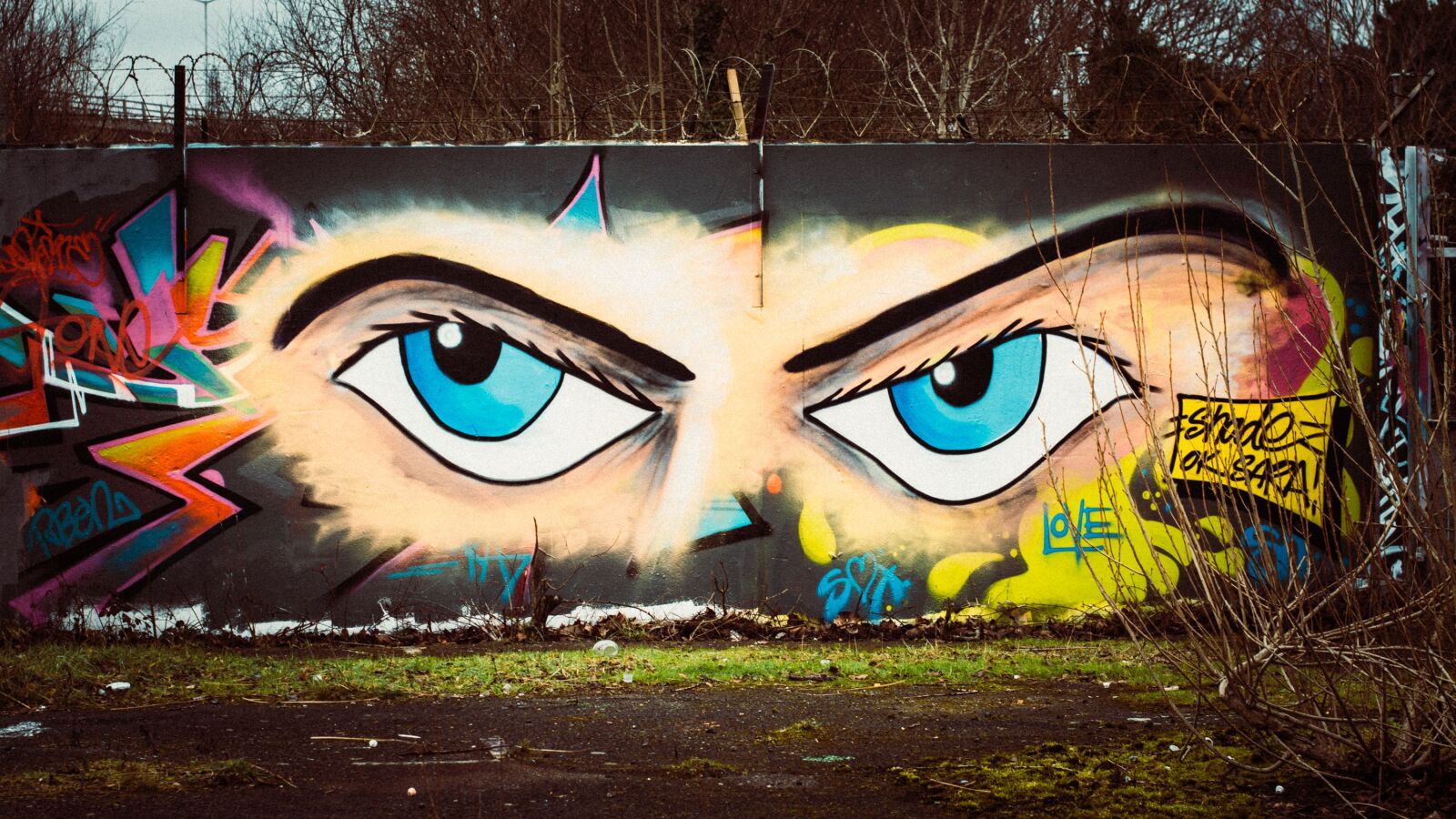 Nikon D7100 sample photo. Graffiti, wall, eyes photography
