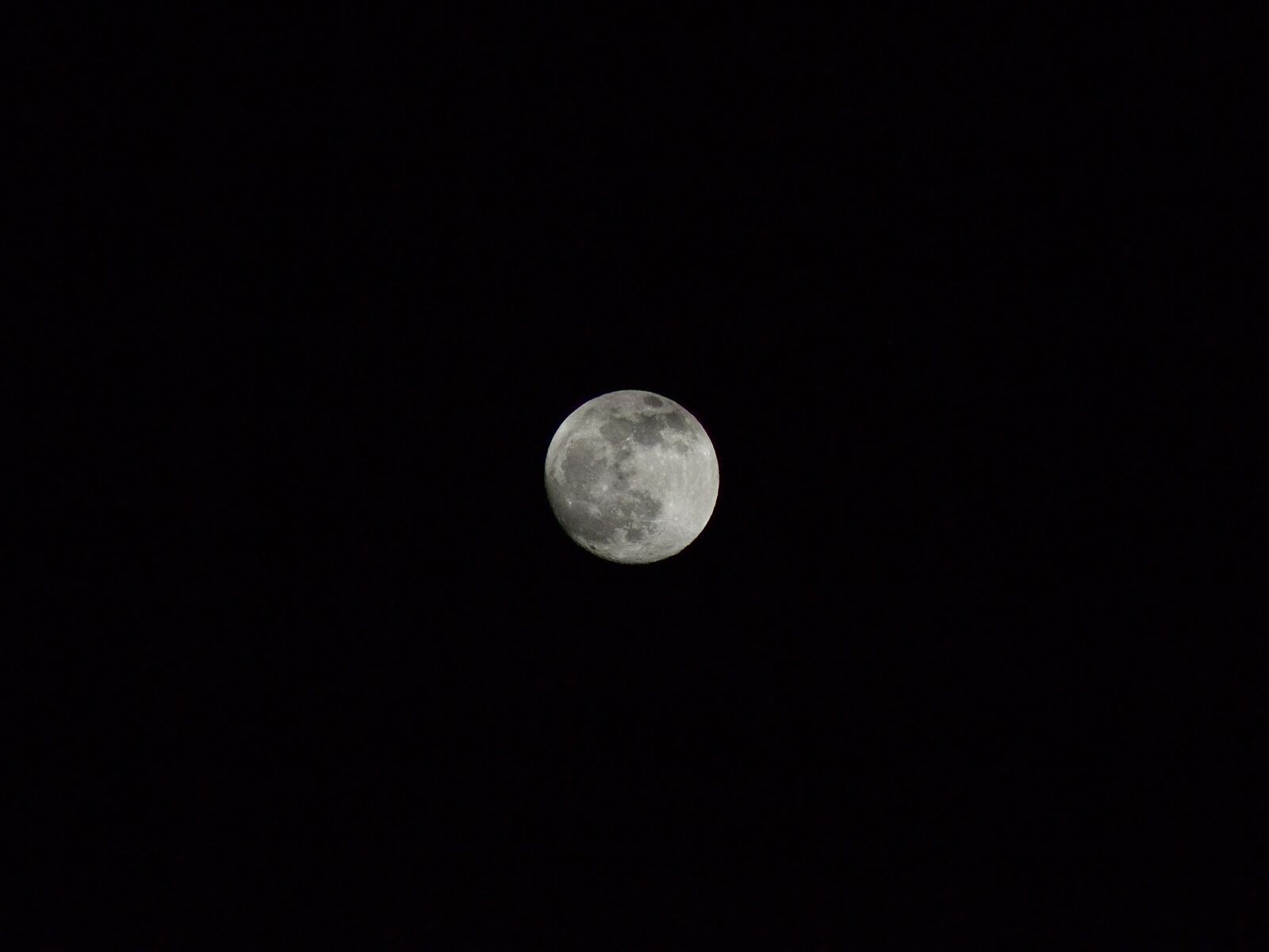Nikon D3100 sample photo. Moon, full moon, night photography