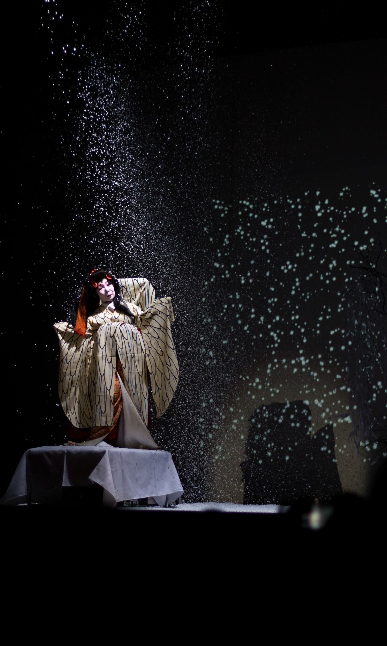 Canon EF 50mm F1.8 STM sample photo. Opera, music, art photography