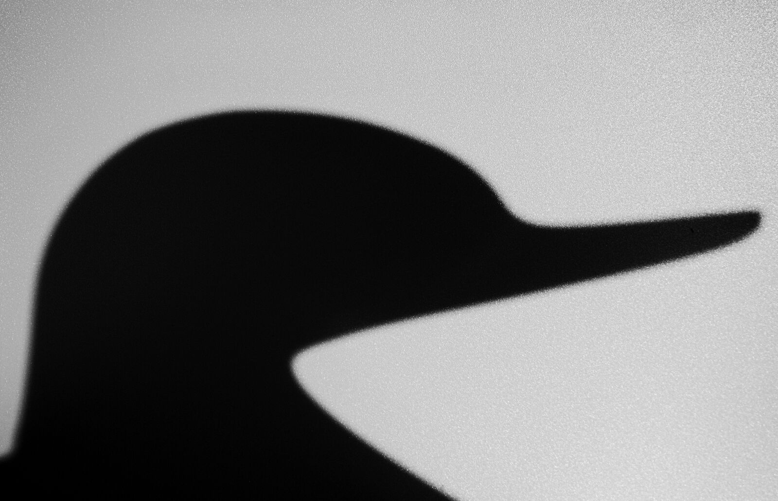 Canon EOS 750D (EOS Rebel T6i / EOS Kiss X8i) sample photo. Abstract, pattern, design photography