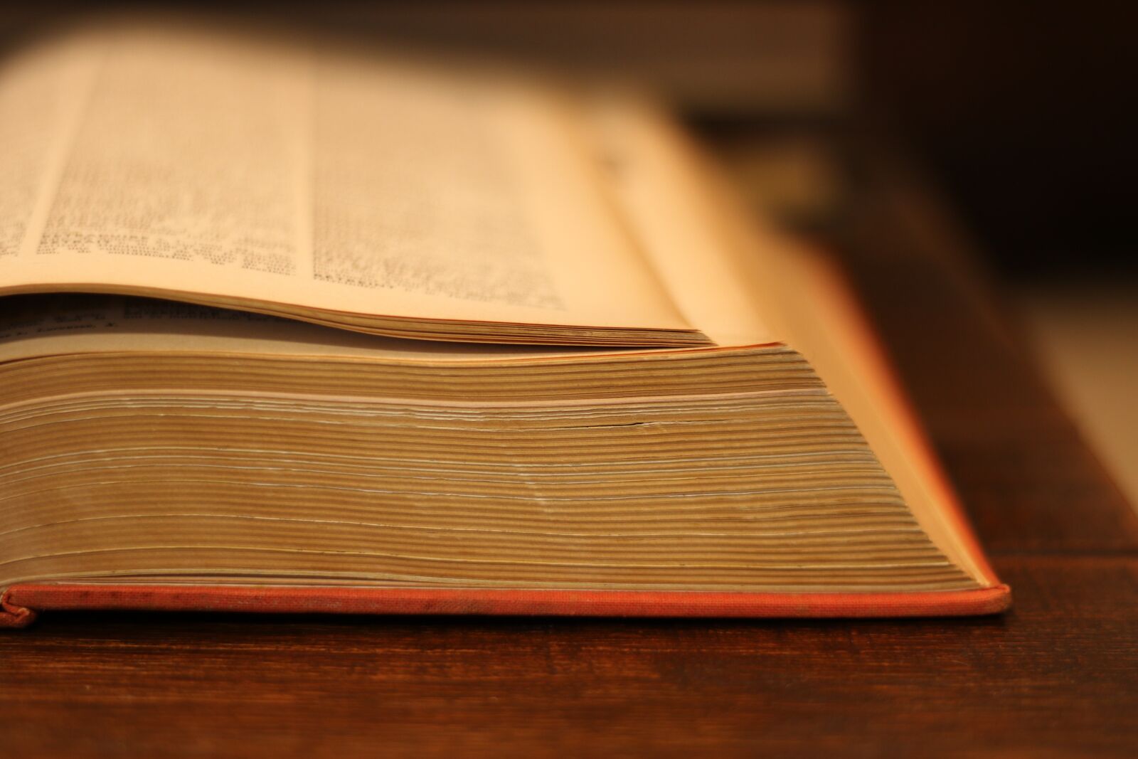 Canon EF 50mm F1.8 STM sample photo. Book, old, dictionary photography