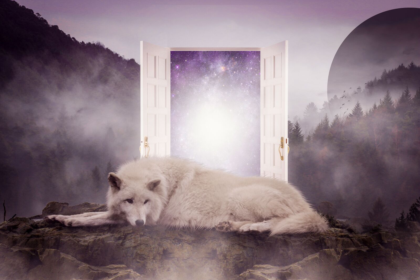 Canon EOS 70D + Canon EF 24-105mm F4L IS USM sample photo. Fantasy, surreal, imagination photography
