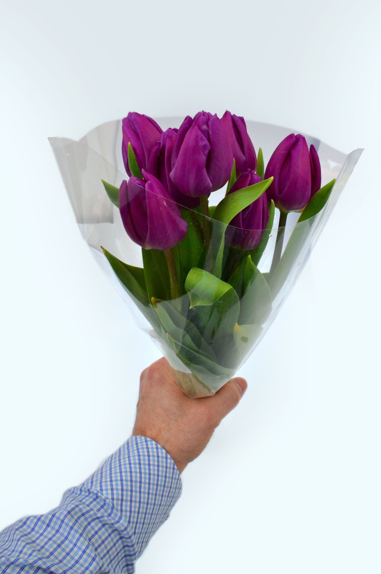 Nikon D3200 sample photo. Tulip, flower, gift photography
