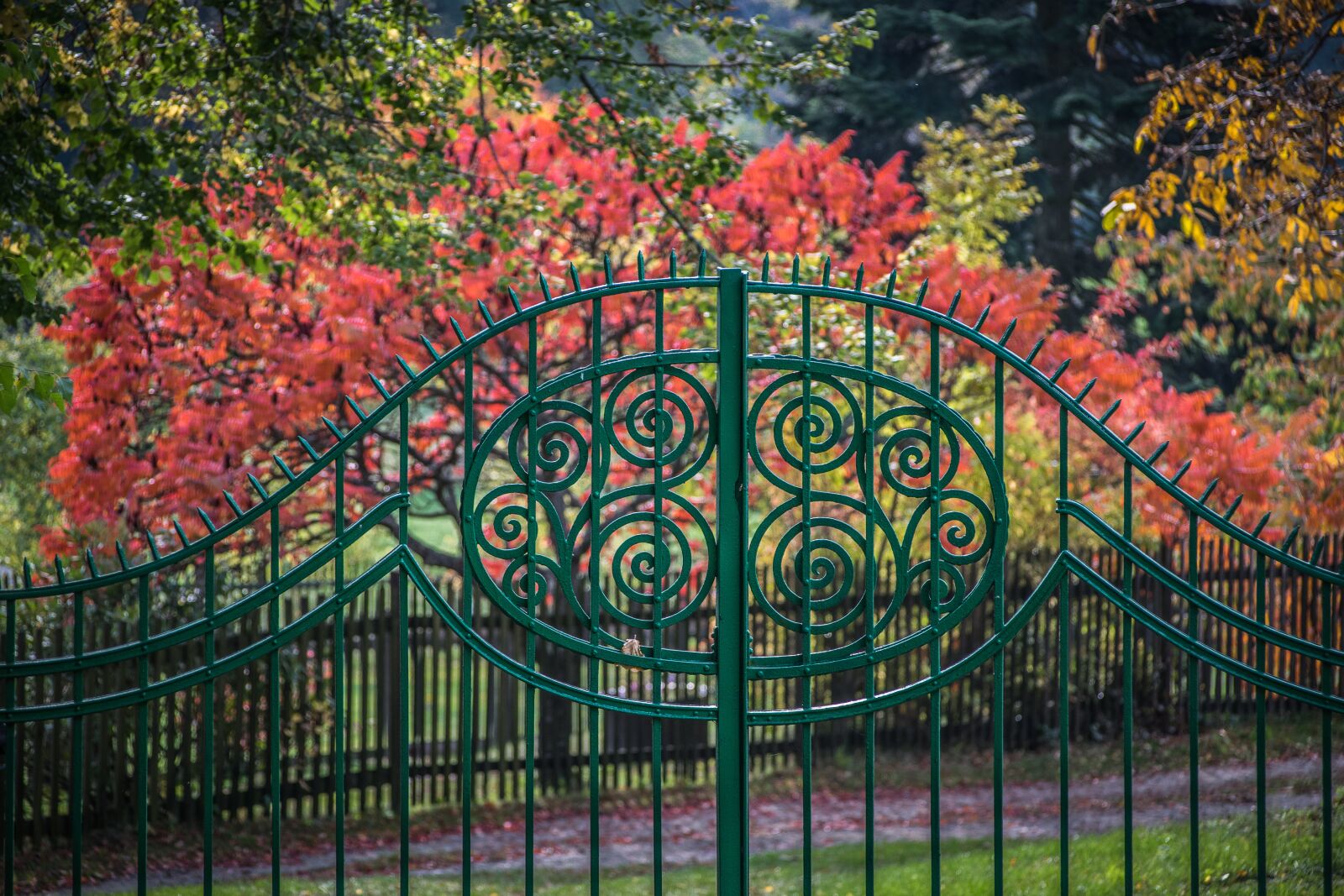 Nikon D5300 sample photo. Autumn, gate, rural photography