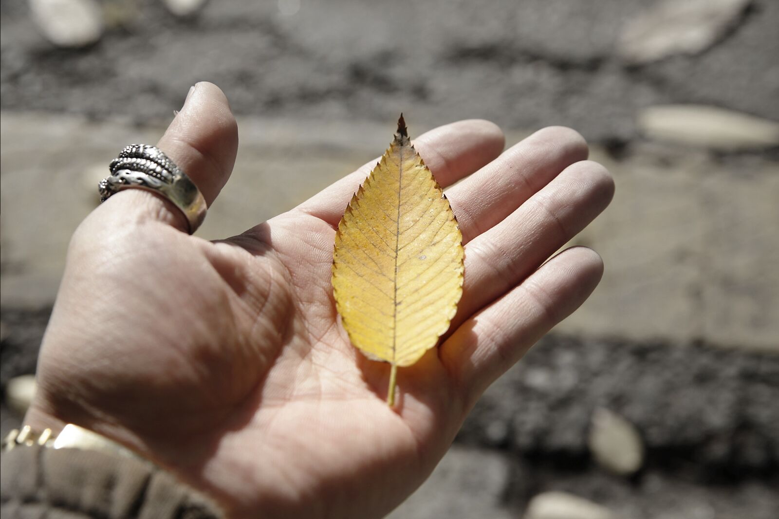 Canon EOS 5D Mark II sample photo. Republic of korea, seoul photography