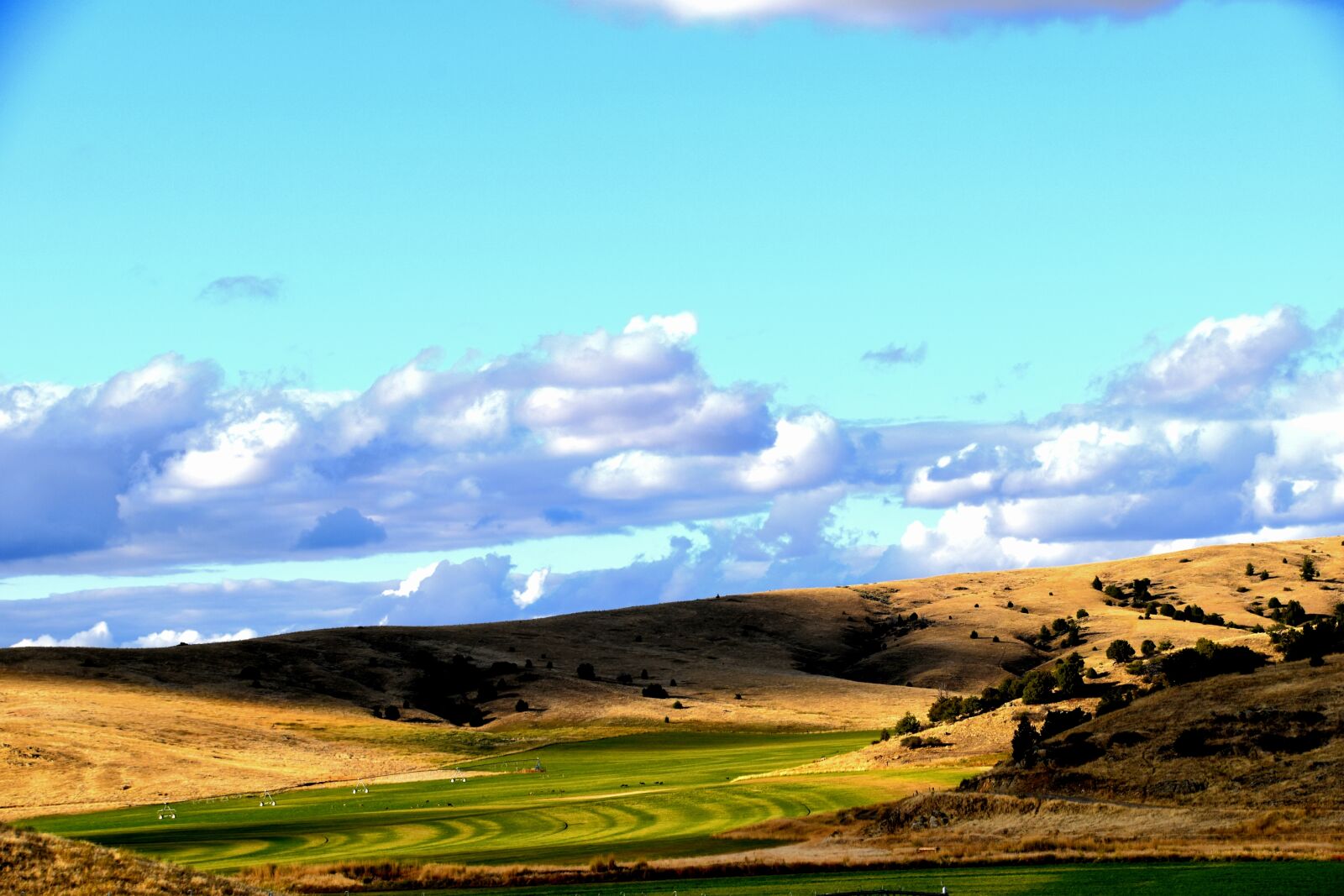 Nikon D5500 sample photo. Colorful, field, landscape, montana photography