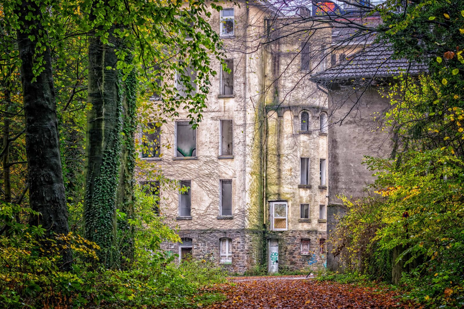 Nikon D3300 sample photo. Old, tree, building, architecture photography