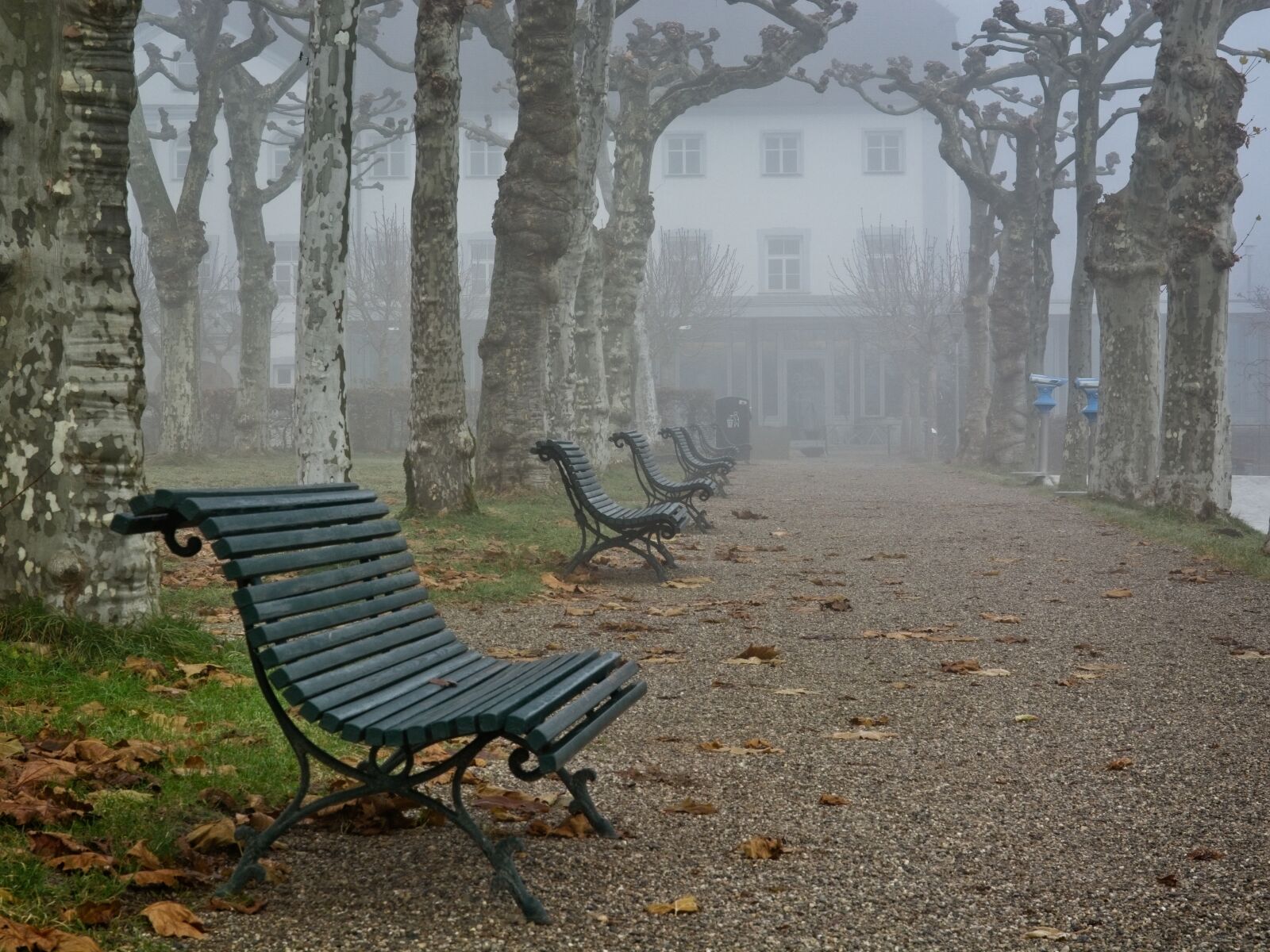Nikon D7100 sample photo. Fog, foggy, bench photography