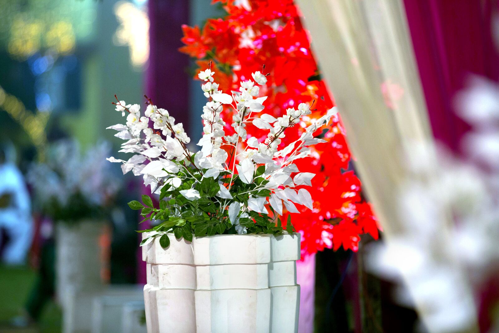 Canon EOS 5D Mark III sample photo. Flower, pot, natural photography