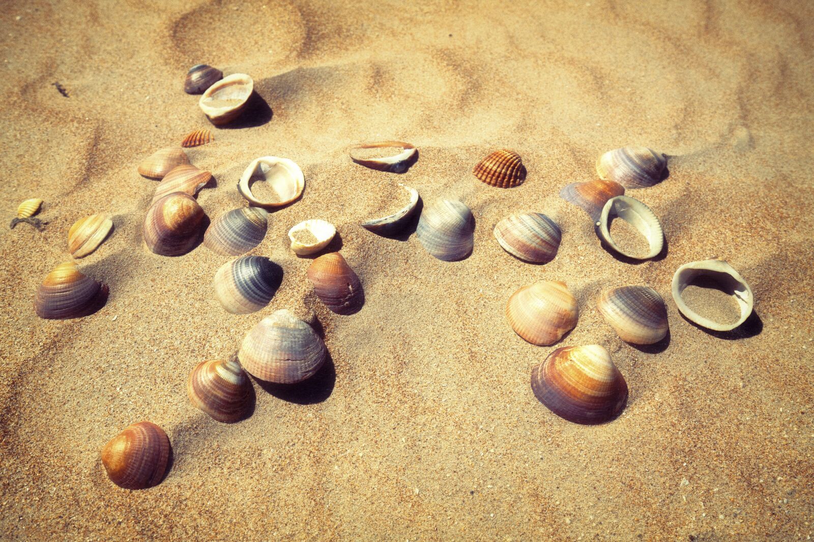 Canon EF 16-35mm F4L IS USM sample photo. Beach, sand, sea photography