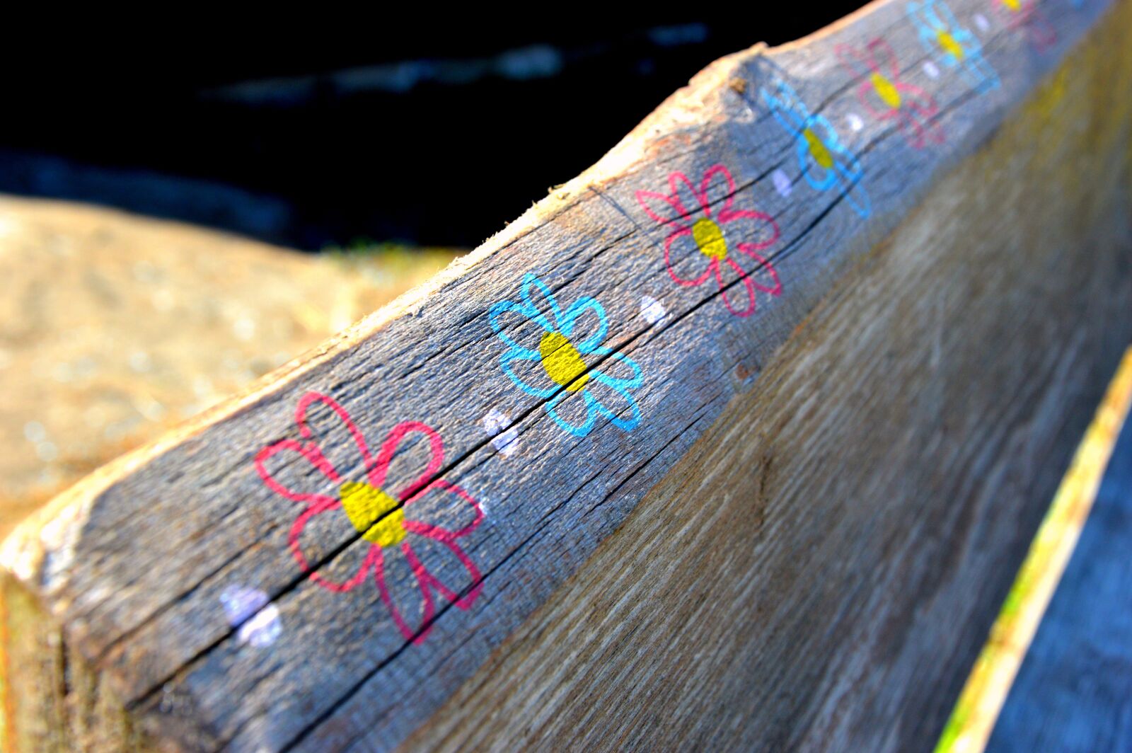 Nikon D3200 sample photo. Wood, wooden bench, flower photography