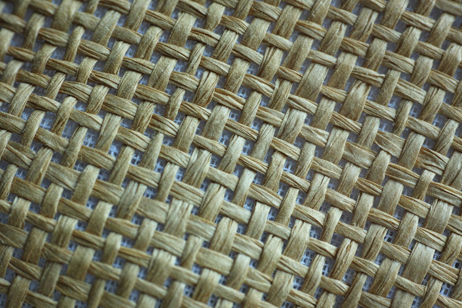 Sigma DP3 Merrill sample photo. Detail, macro, background photography