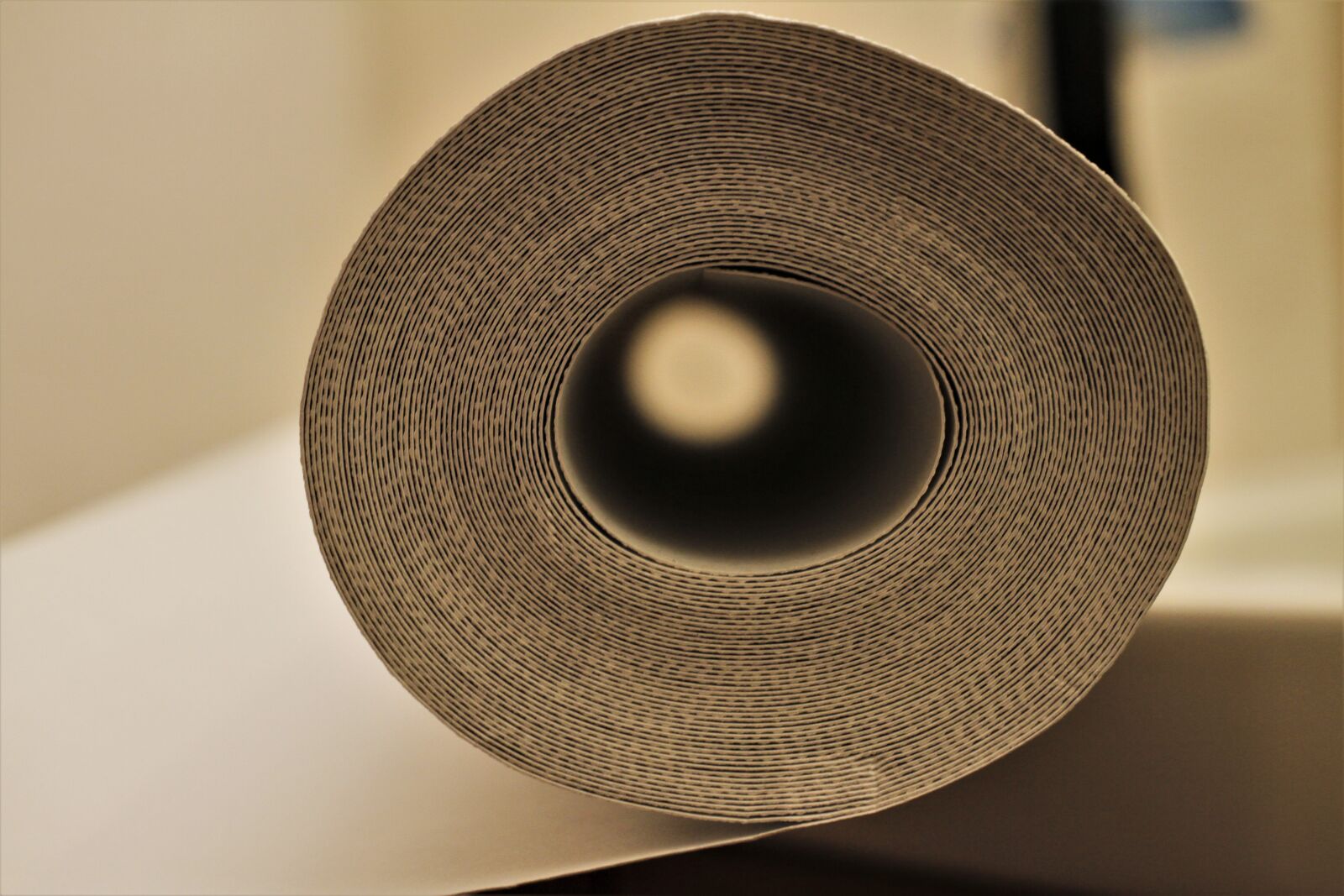 Canon EOS 7D sample photo. By looking, homework, craft photography