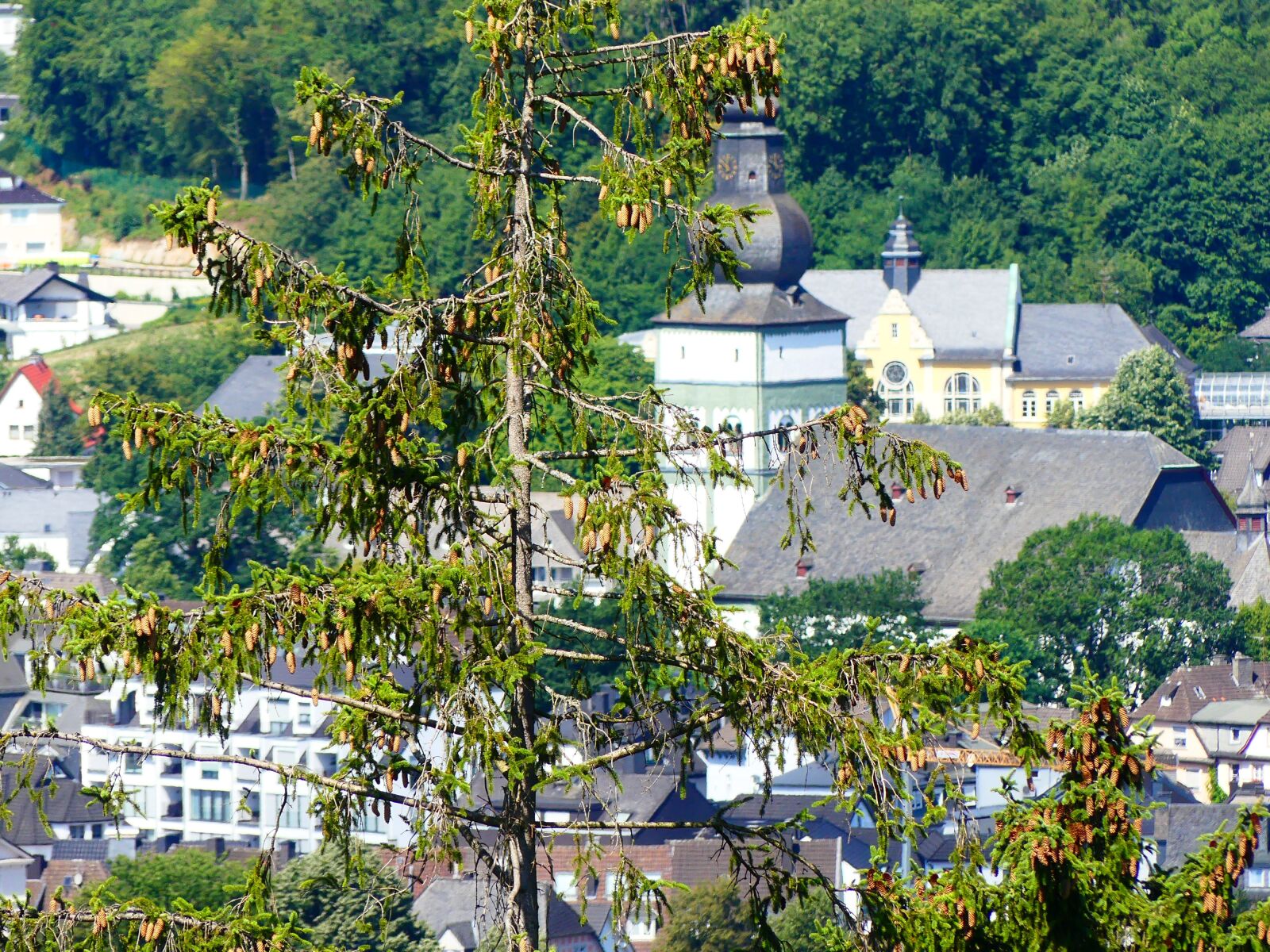 Panasonic Lumix DMC-FZ300 sample photo. North rhine westphalia, sauerland photography
