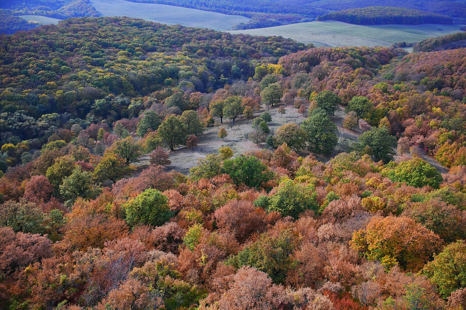 Nikon D3200 sample photo. Landscape, autumn, autumn landscape photography