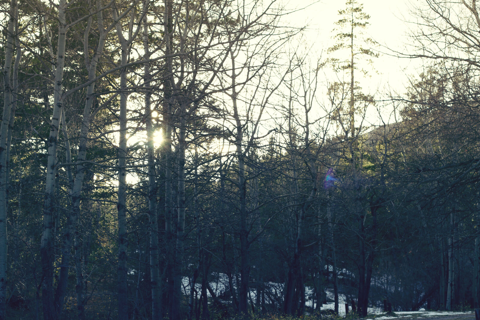 Canon EOS 650D (EOS Rebel T4i / EOS Kiss X6i) sample photo. Mothernature photography