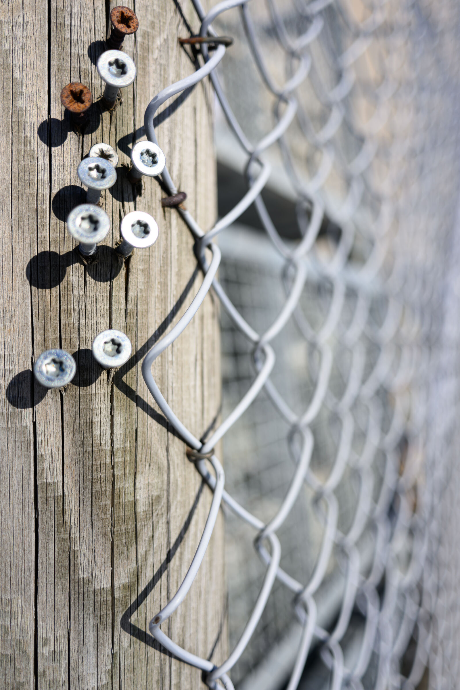 Nikon Nikkor Z 26mm F2.8 sample photo. Fence of the morning photography