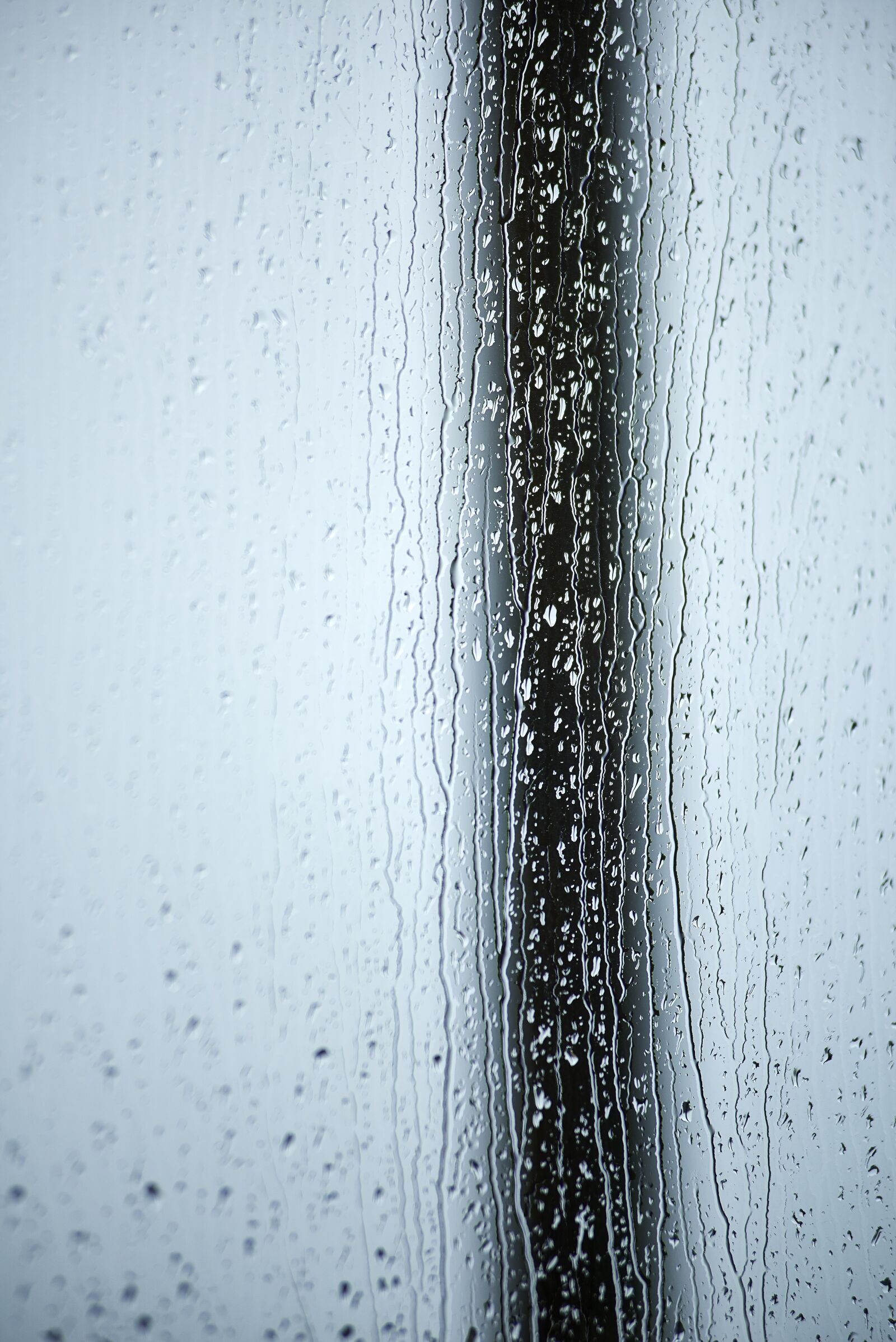 Nikon D810 sample photo. Rain, raindrop, drop of photography