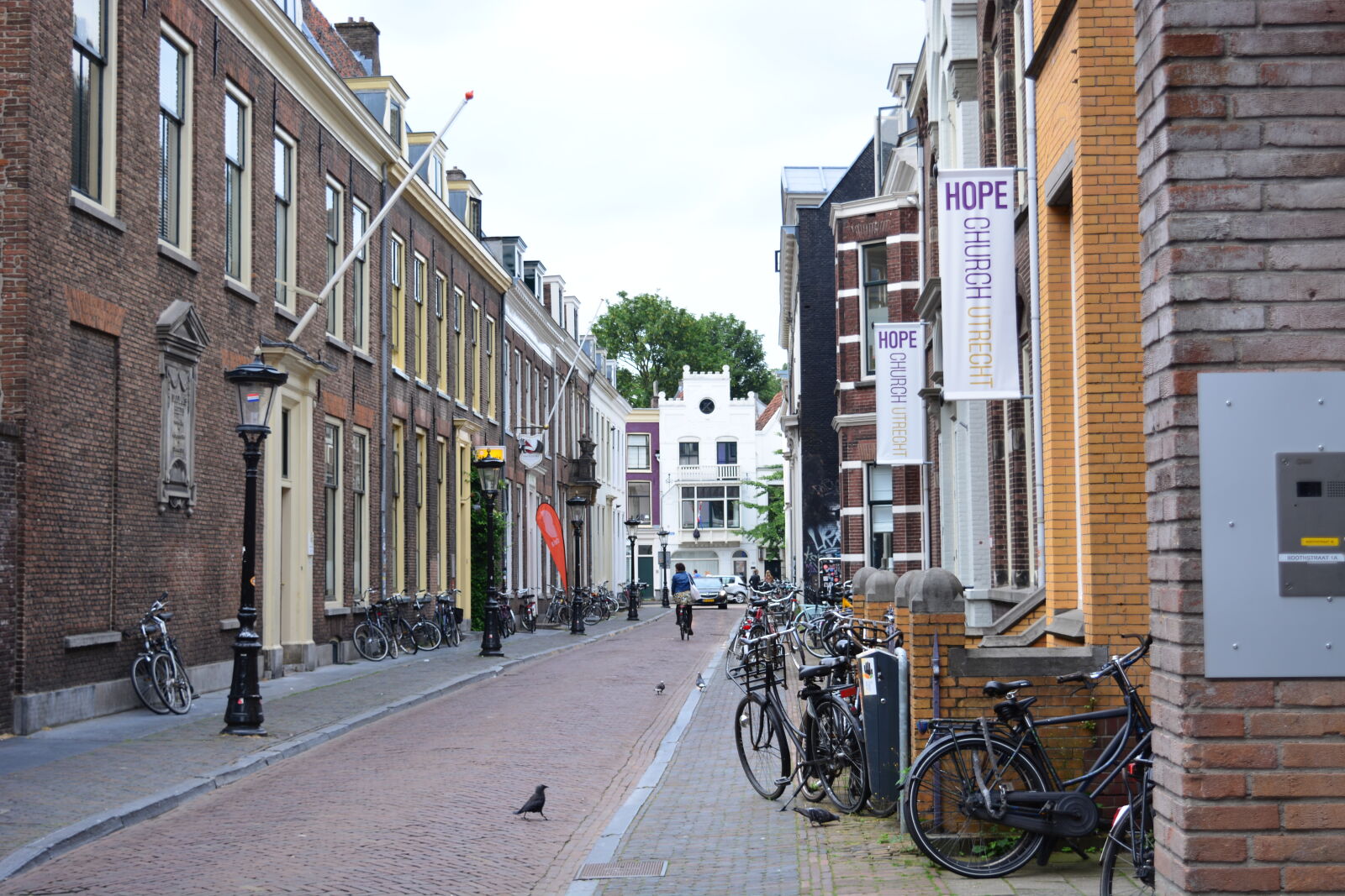 Nikon D5200 sample photo. Bicycle, birds, flags, pigeons photography