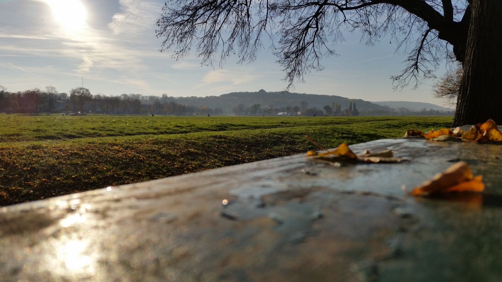 Samsung Galaxy S5 sample photo. Kraków, autumn, commons photography