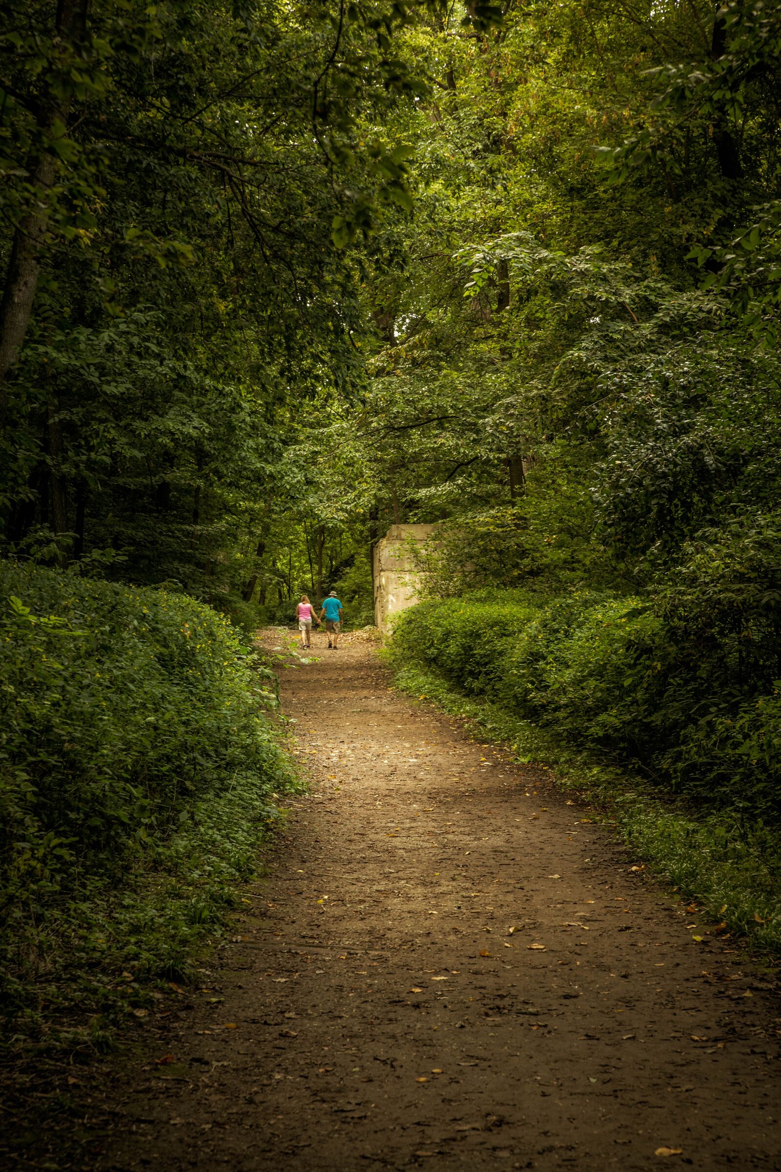 Canon EOS 5D Mark III sample photo. Nature, path, green photography