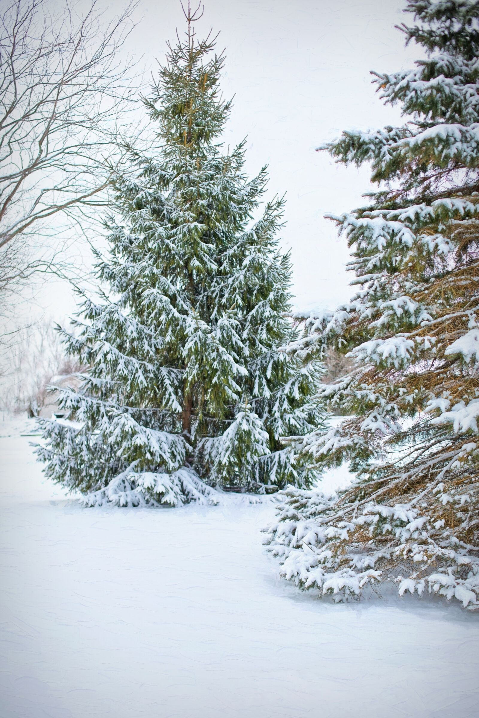 Canon EF 50mm F1.4 USM sample photo. Winter, landscape, snowy photography
