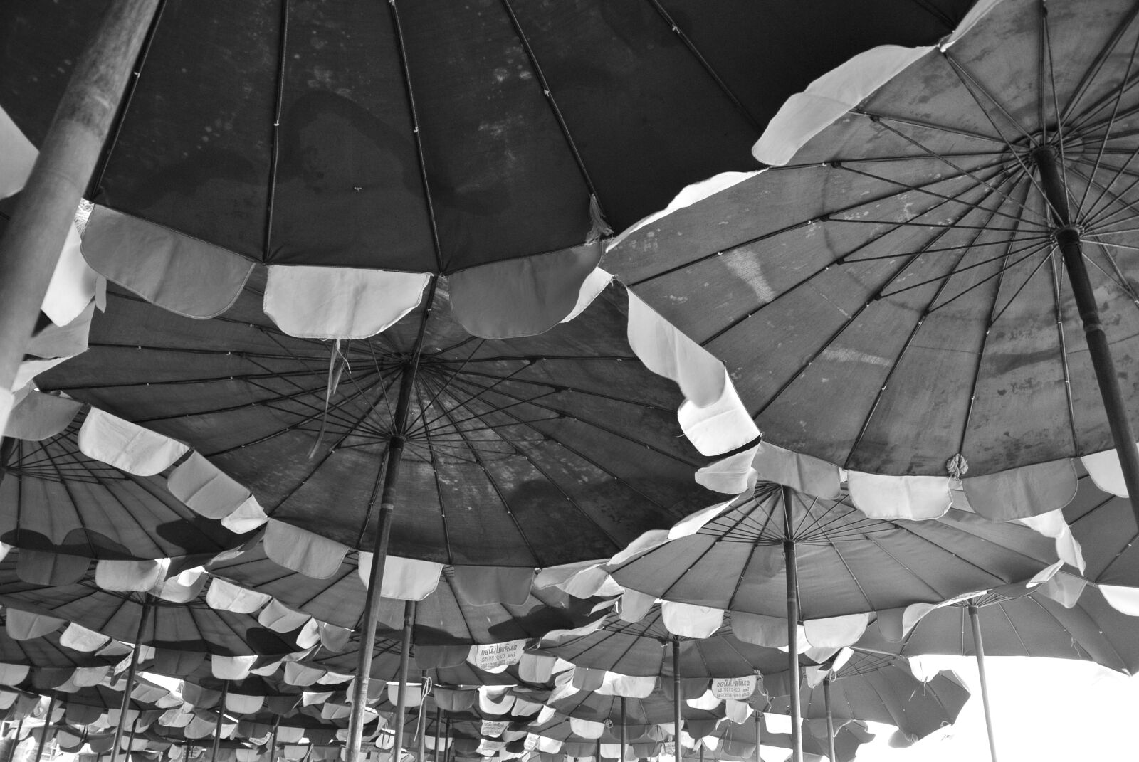 Nikon 1 J1 sample photo. Sea photography