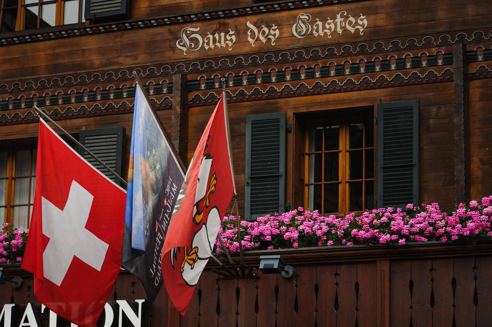 Nikon D90 sample photo. Architecture, gstaad, tradition photography