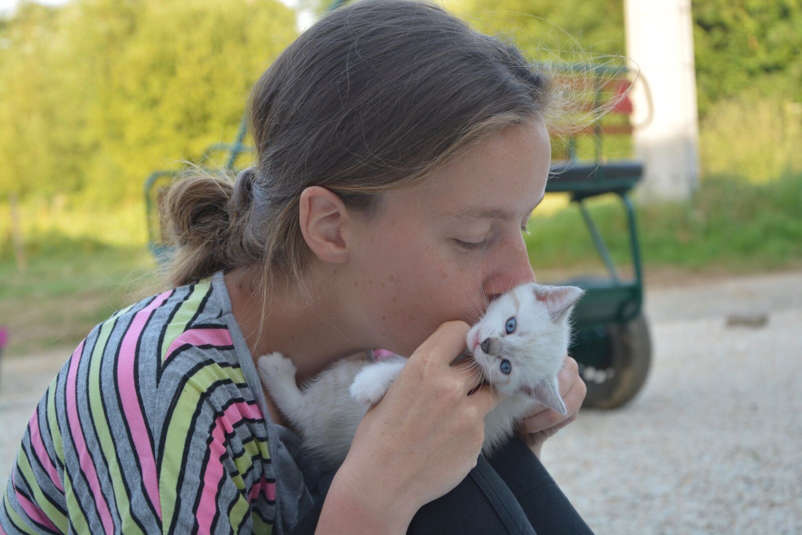 Nikon D5200 sample photo. Kiss, kisses, kitten photography