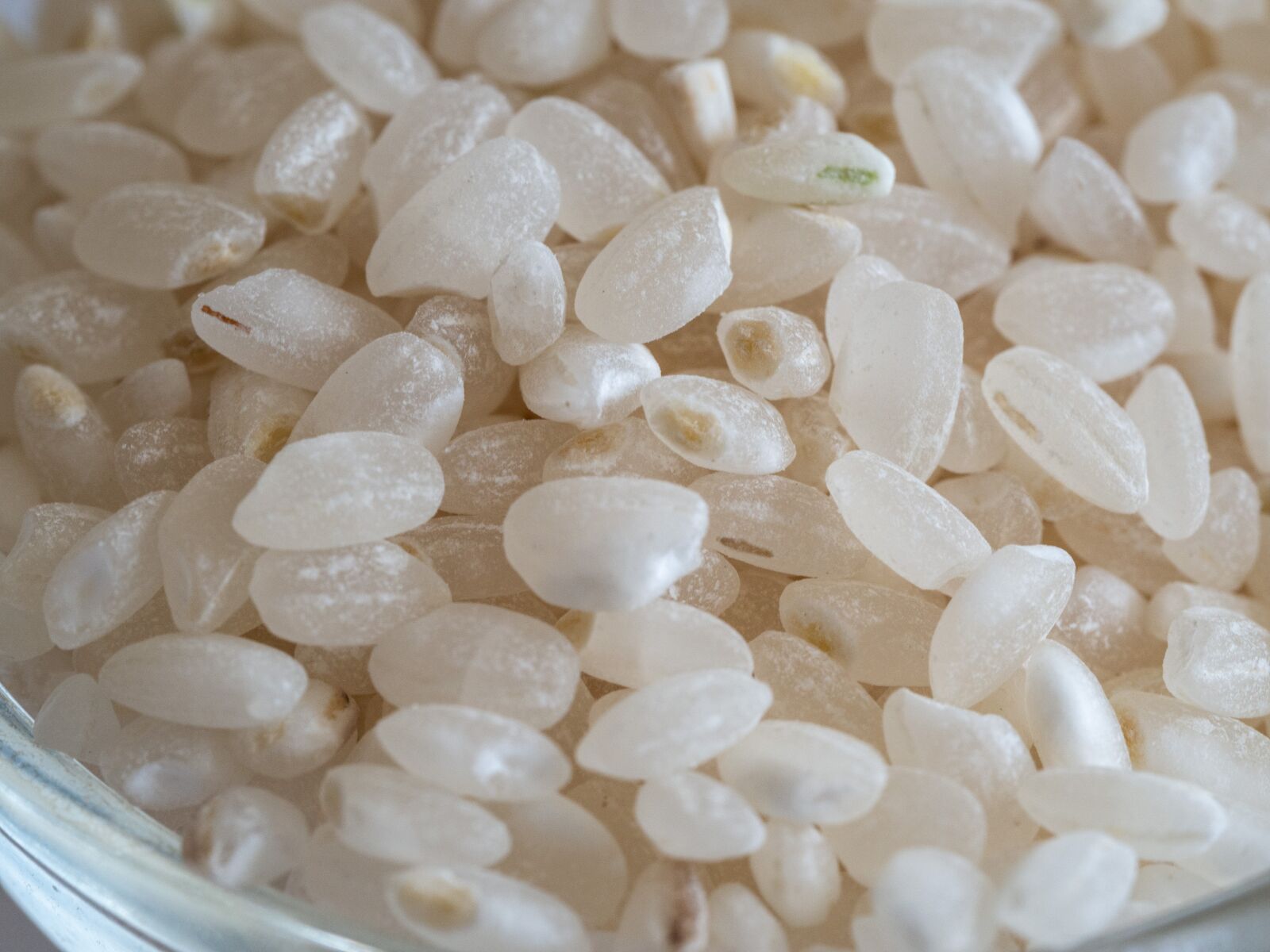 Olympus OM-D E-M10 III sample photo. Rice, round, grain photography