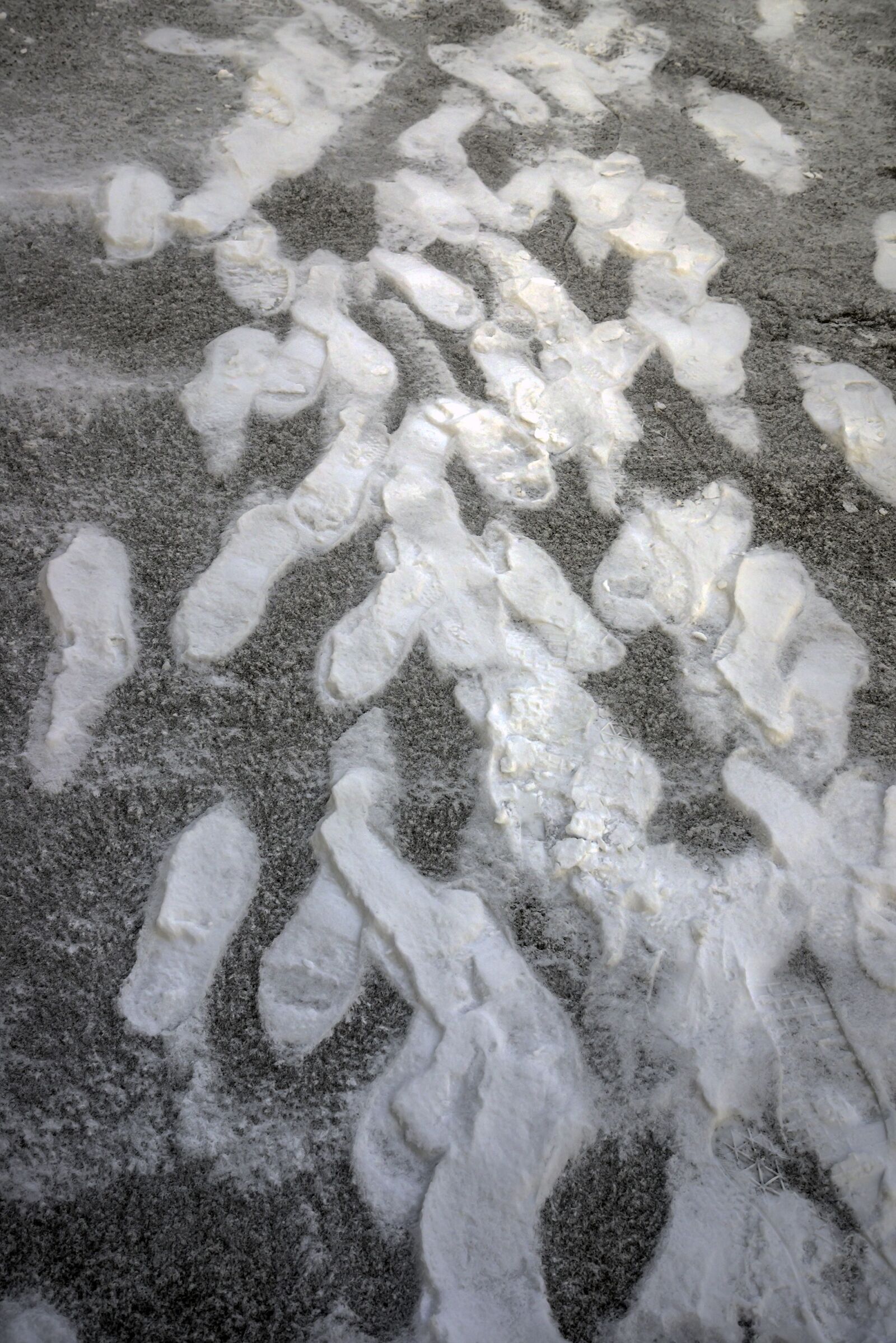 Nikon D800E sample photo. Winter, footprint, snow photography