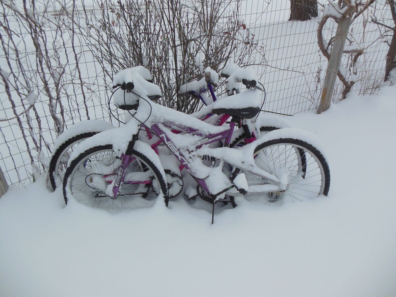 Nikon Coolpix S6300 sample photo. Snow, bike, winter photography