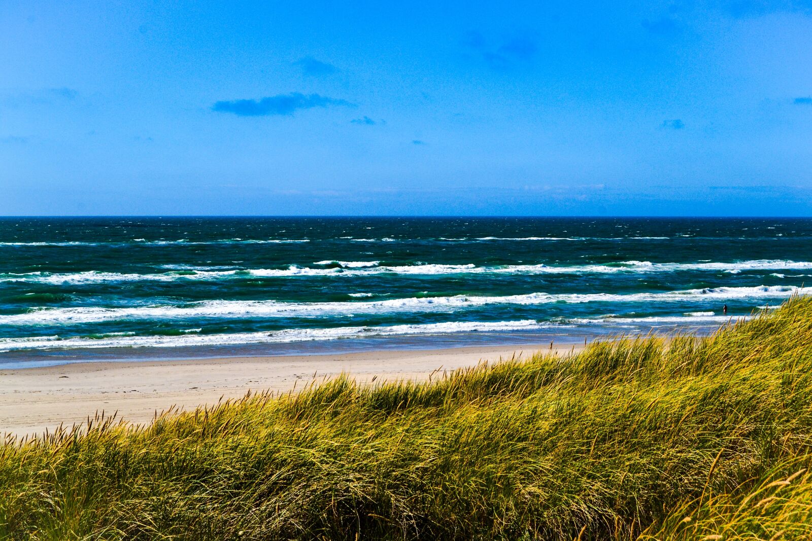 Nikon D3100 sample photo. Sea, north sea, dunes photography