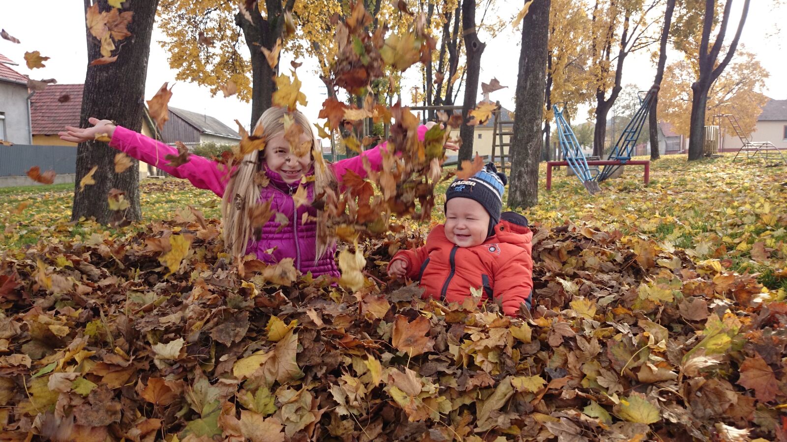 Sony Xperia Z1 Compact sample photo. Autumn, deciduous, avar photography