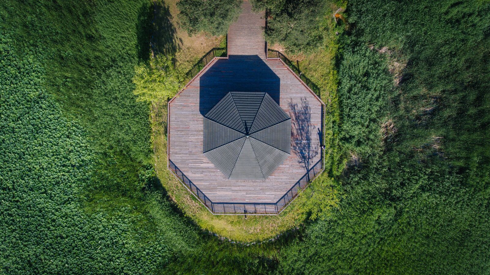DJI FC330 sample photo. Grass, nature, summer photography