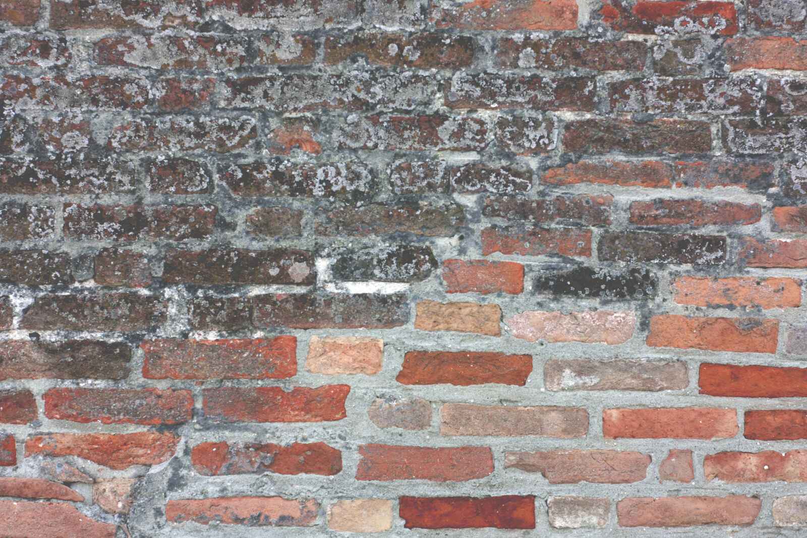 Canon EOS 450D (EOS Rebel XSi / EOS Kiss X2) sample photo. Brick, brick, wall, bricks photography