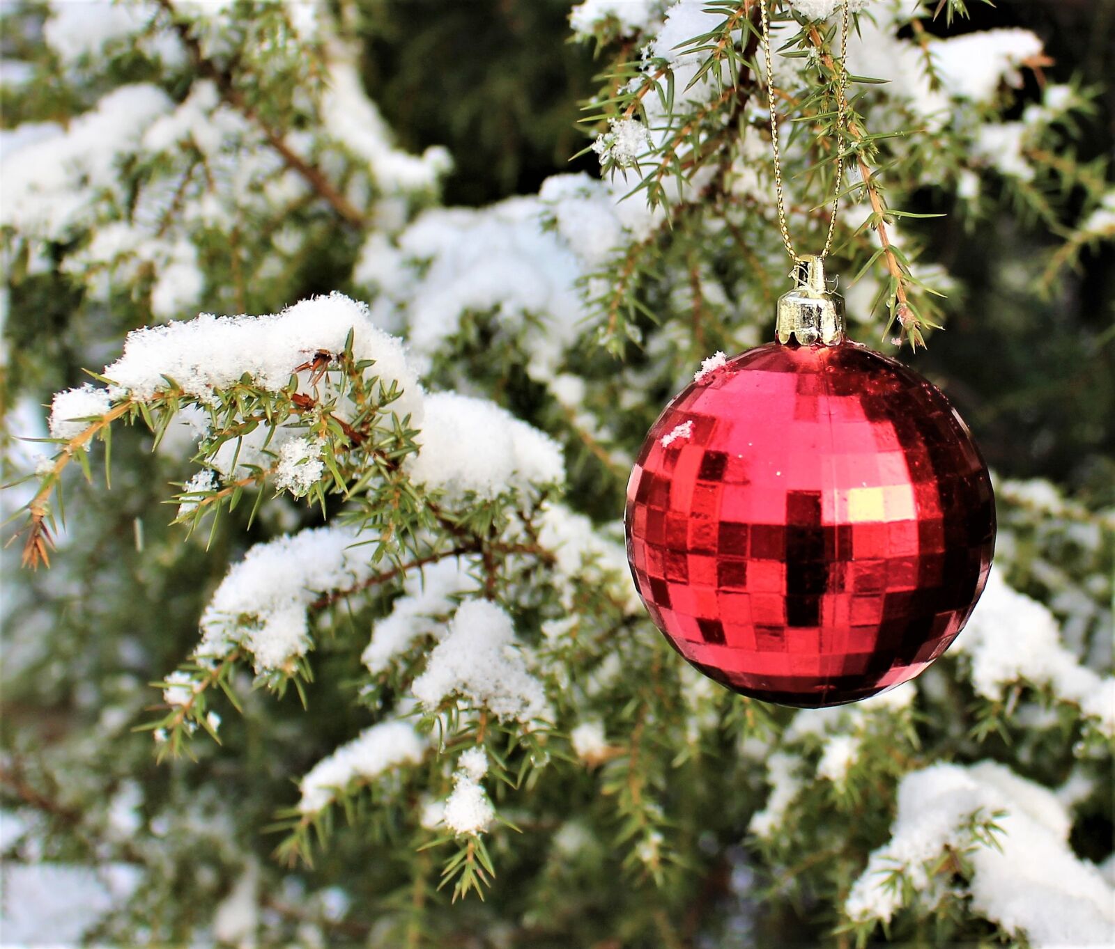 Canon EOS 700D (EOS Rebel T5i / EOS Kiss X7i) sample photo. Julkula, winter, christmas photography