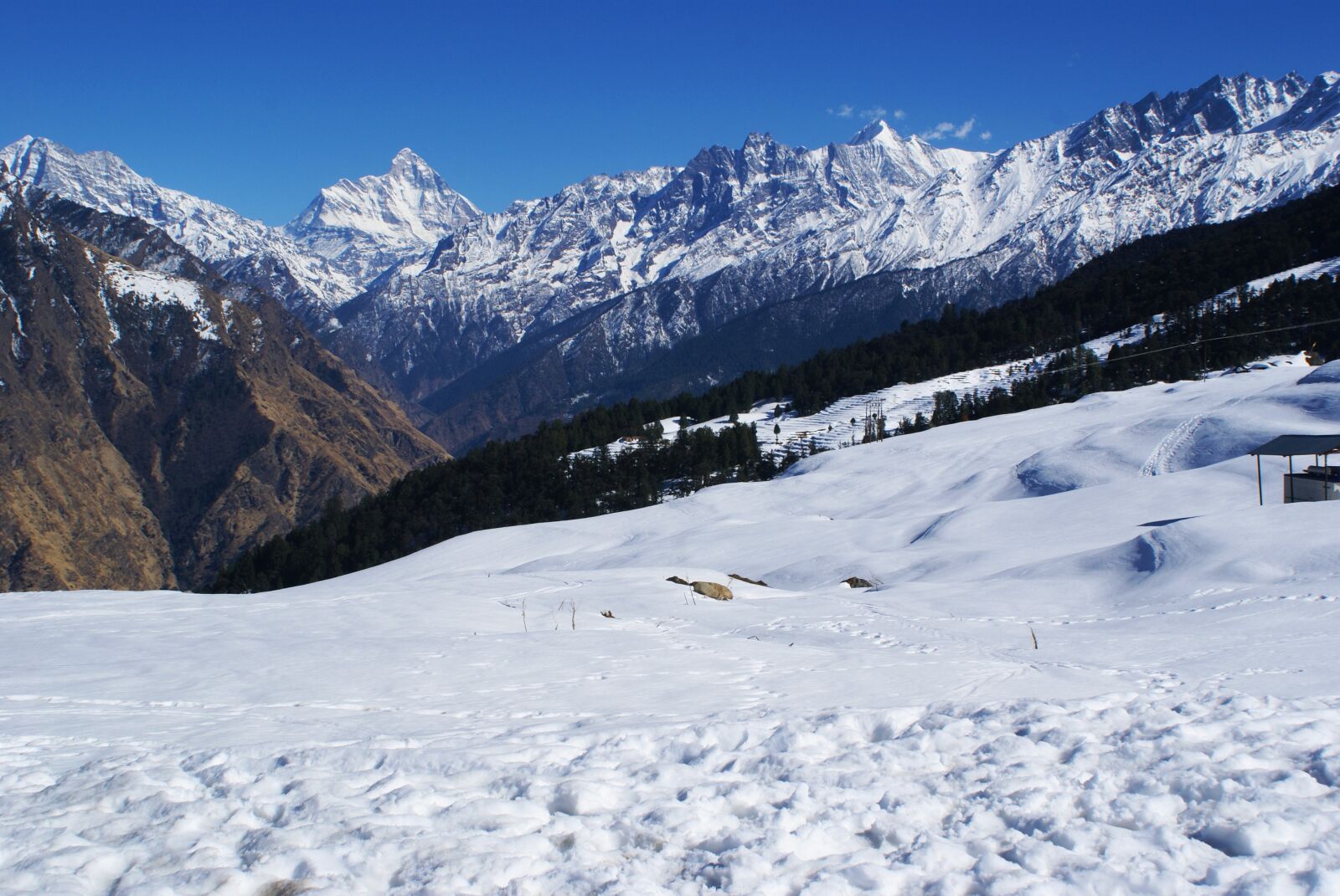 Sony Alpha DSLR-A100 sample photo. India, pure, tourism photography