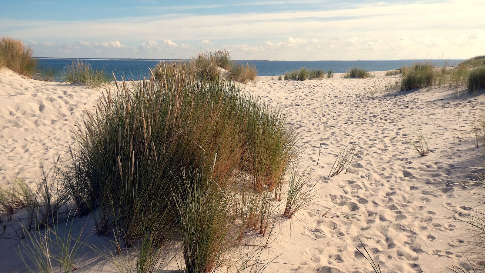 Panasonic DC-TZ91 sample photo. Beach, dune grass, sea photography